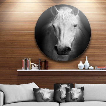 White Horse Black and White - Animal Metal Circle Wall Art